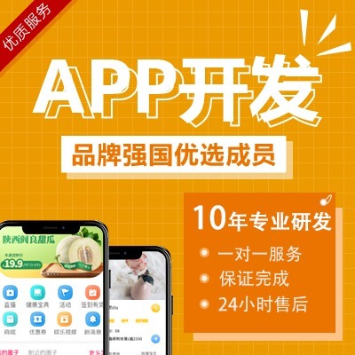 APP定制开发