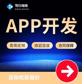 广东麻章区APP开发公司笃行网络软件开发公司