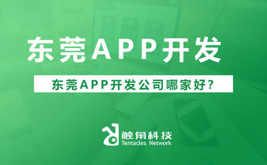 东莞软件app开发公司